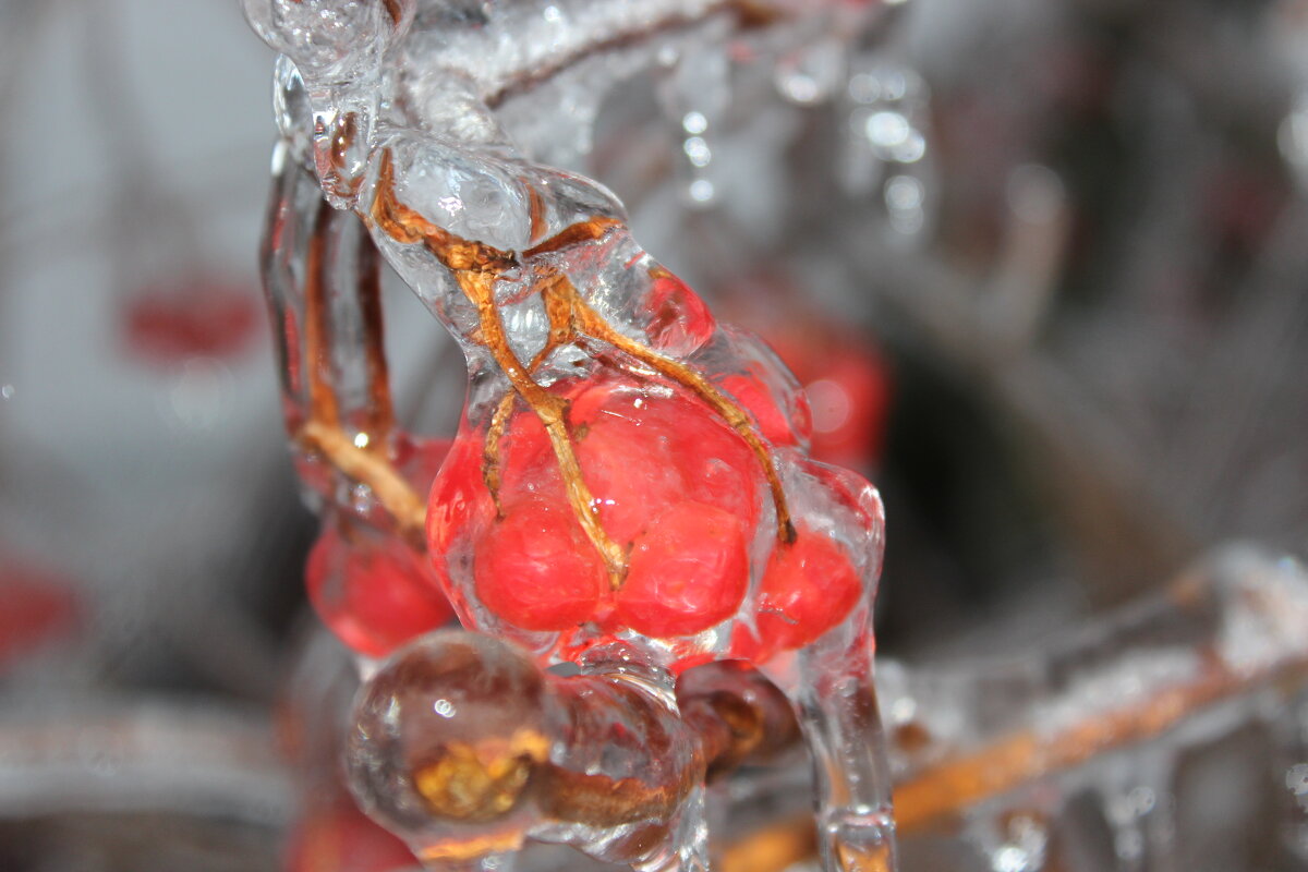 зимняя сказка - Наталья Штанулина
