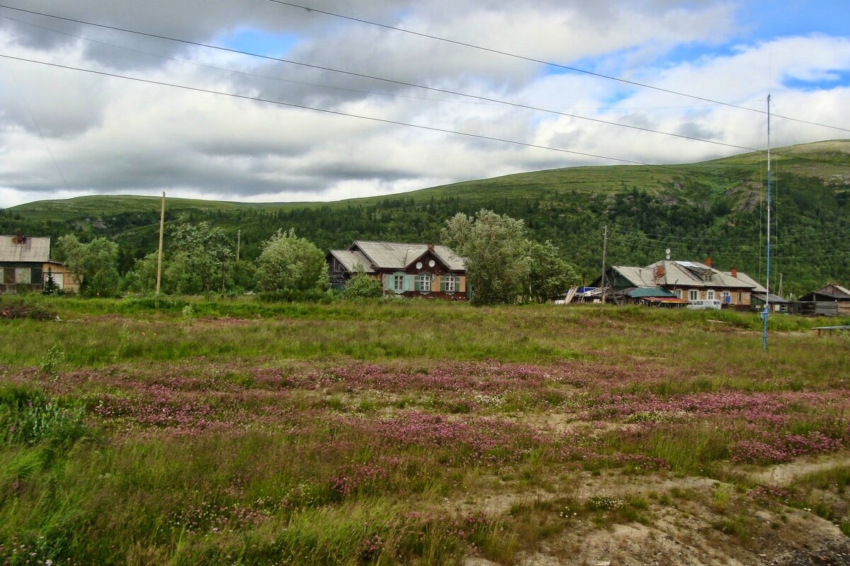 ПОЛЯРНЫЙ УРАЛ. ЛЕТО - Tata Wolf