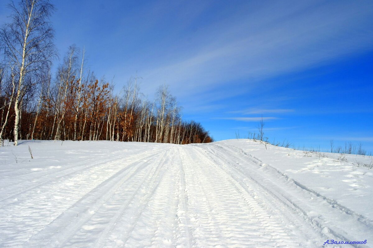 Под небесами февраля... - Андрей Заломленков