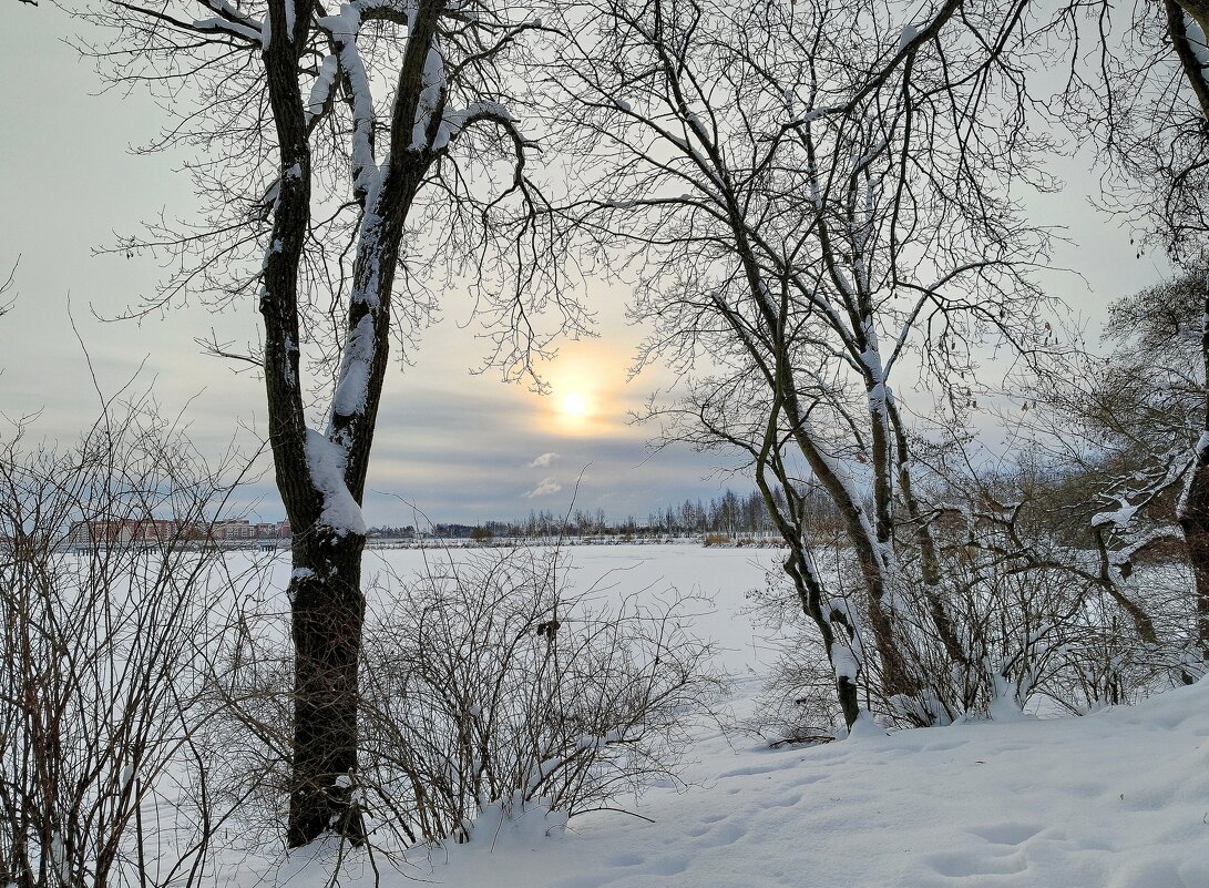 Солнце в зимний день - Мария Васильева