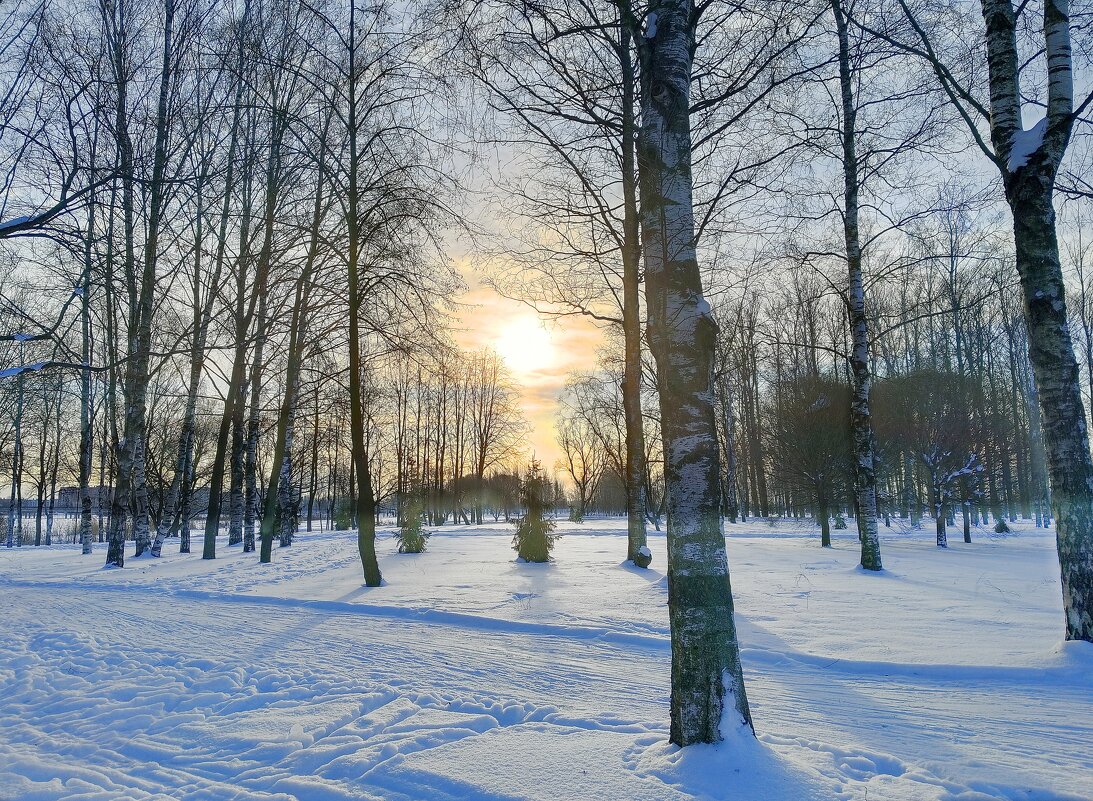 Солнце в зимний день - Мария Васильева