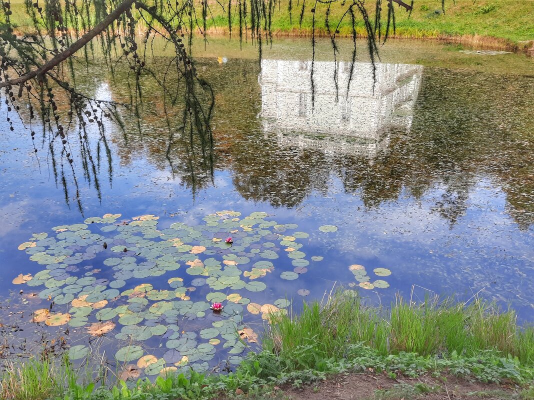 Отражение - Irene Irene