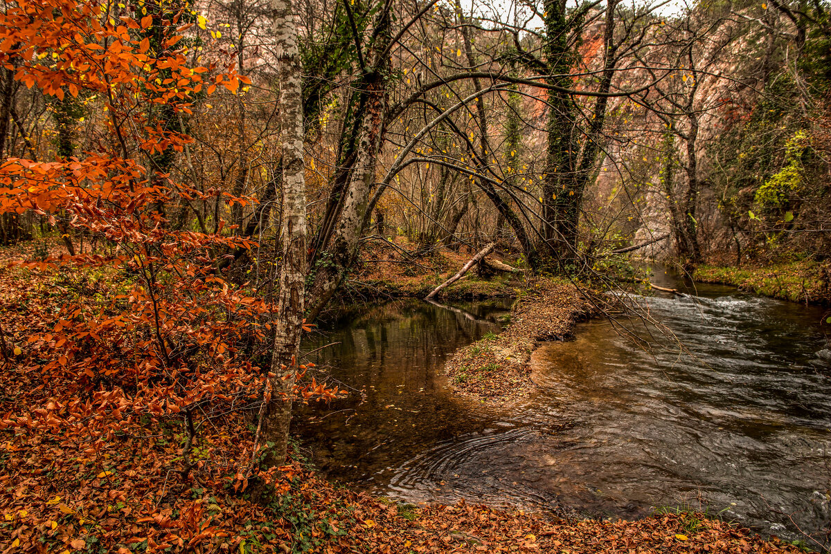 Чернореченский каньон. - Сергей Воротников