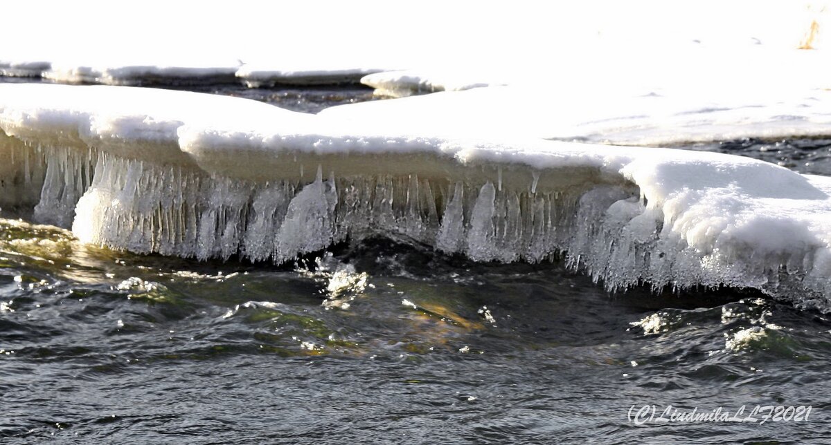 Зимнии фантазии - Liudmila LLF