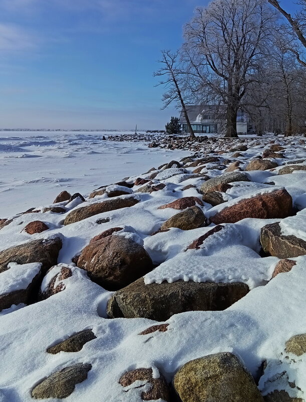 Морозный денёк .. - Татьян@ Ивановна