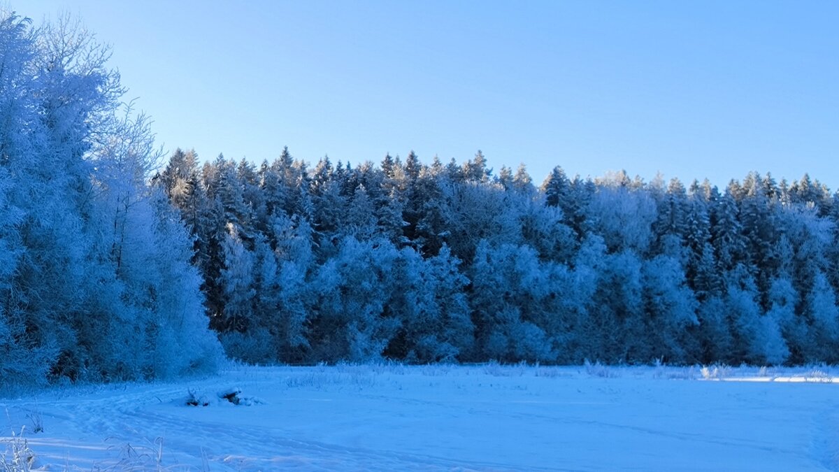 Февраль - мороз и солнце. - Ольга 