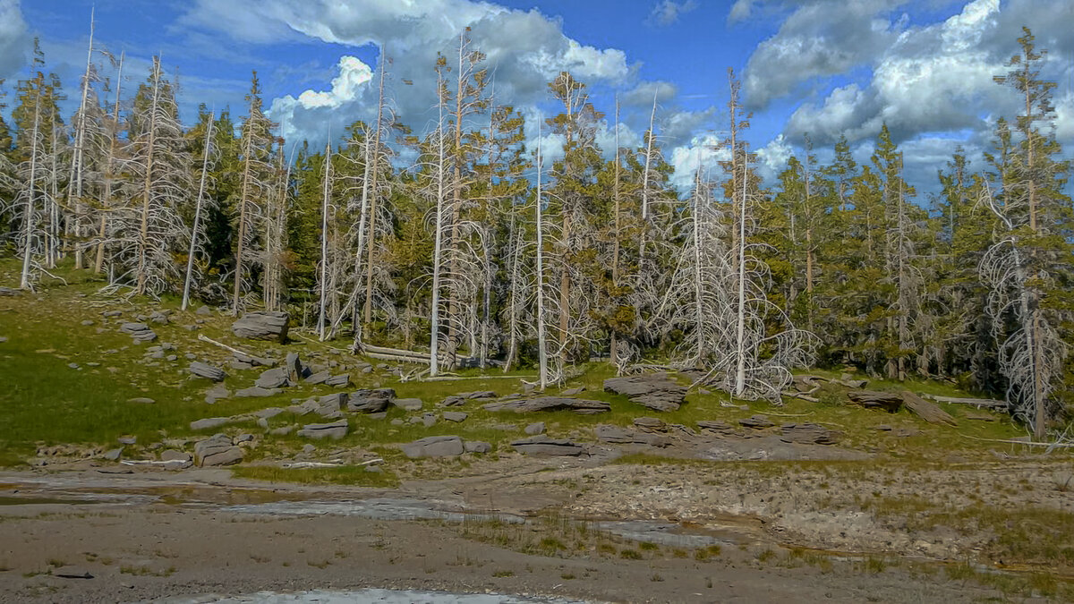 Йеллоустон - Aleksey Afonin