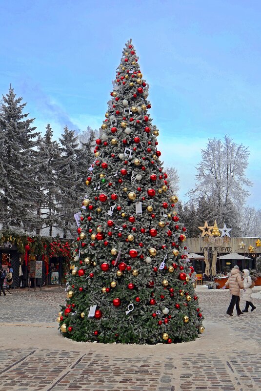 Елка на острове - Сергей Карачин