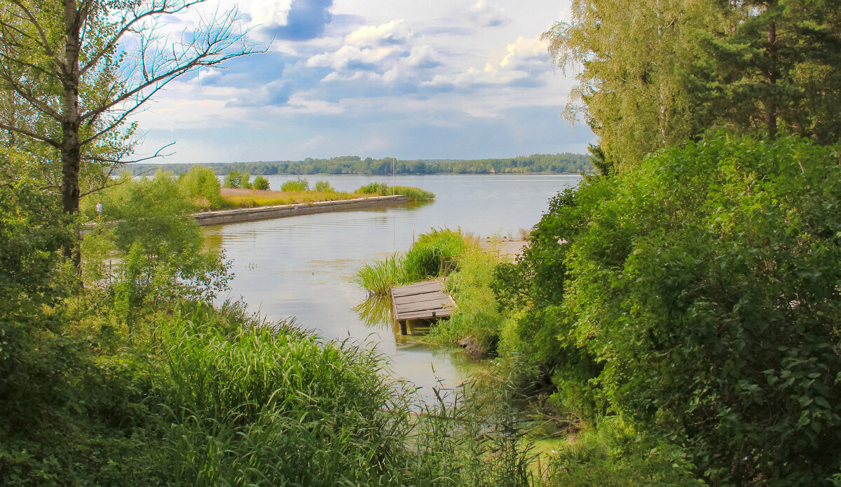 Вспоминая лето на Волге - Дмитрий Балашов