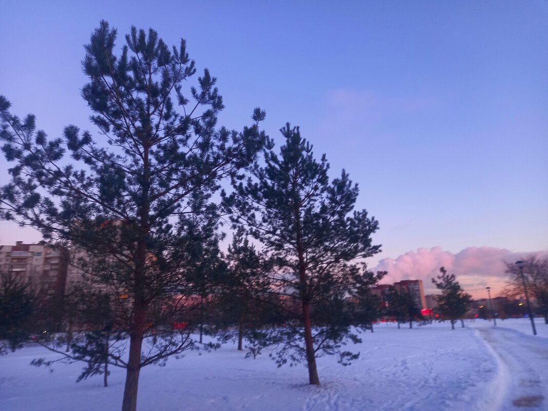 Закат - Сапсан 