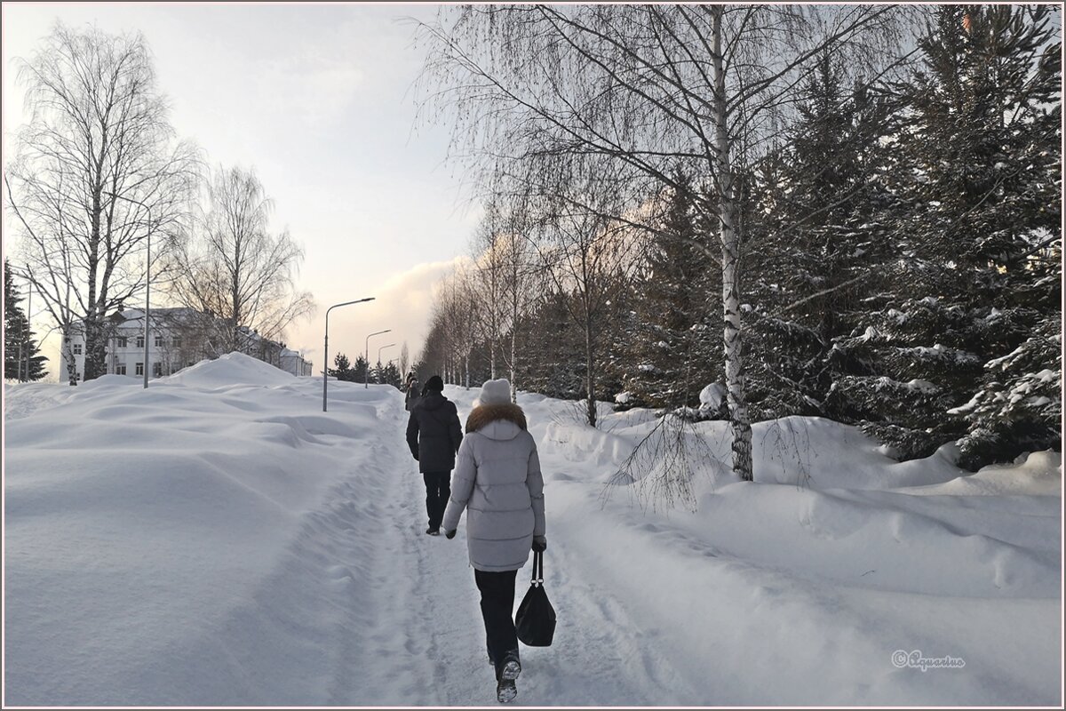 Февральский вечер... - Aquarius - Сергей