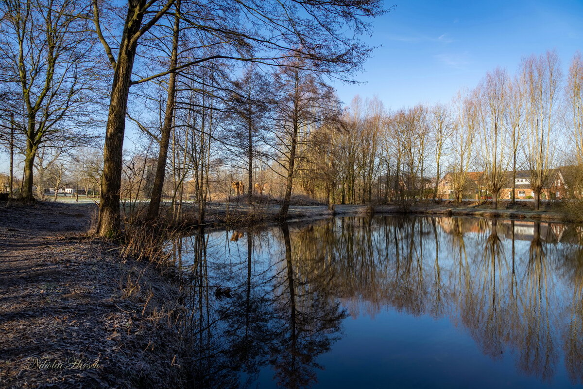 Январский мотив... - Николай Гирш