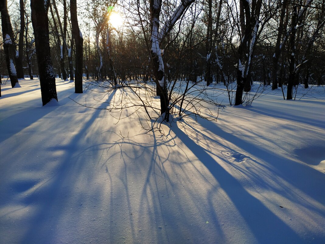 Зима в Москве - Андрей Лукьянов