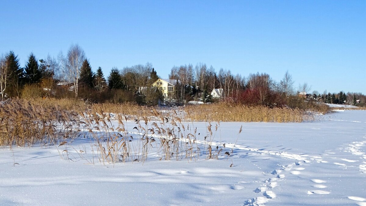 Зимний пейзаж. - Милешкин Владимир Алексеевич 