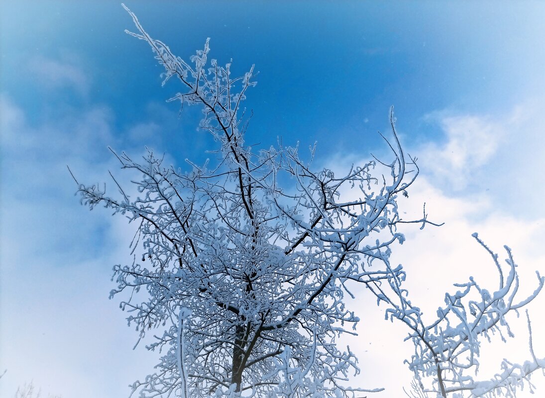 В парке Тондилоо - Veera V
