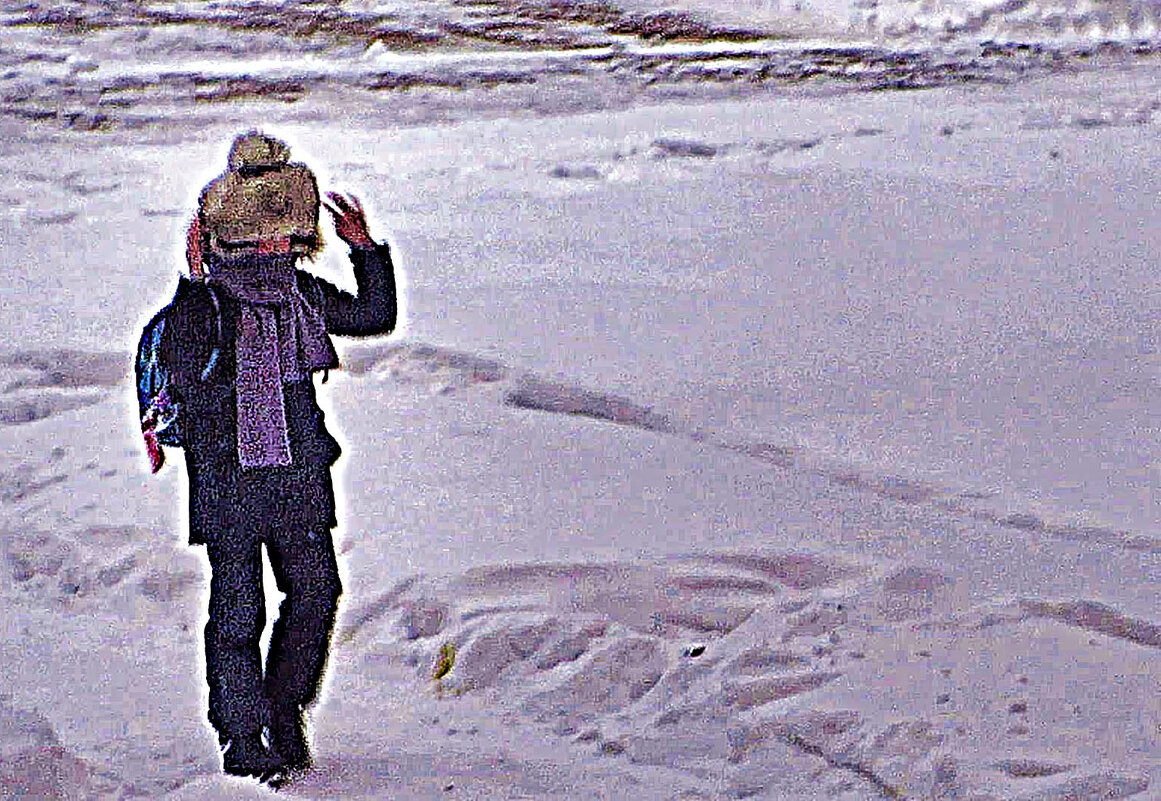 Февраль...Привет, друг-фотограф! - Владимир 