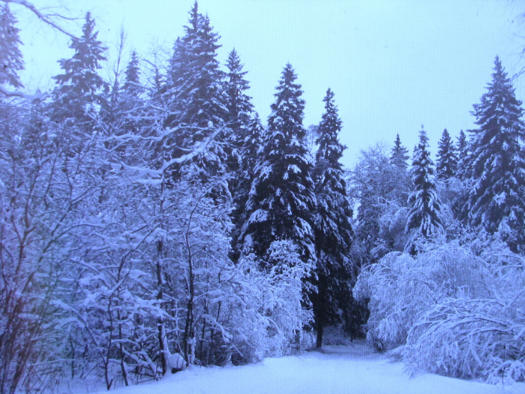 Красота - Людмила Смородинская