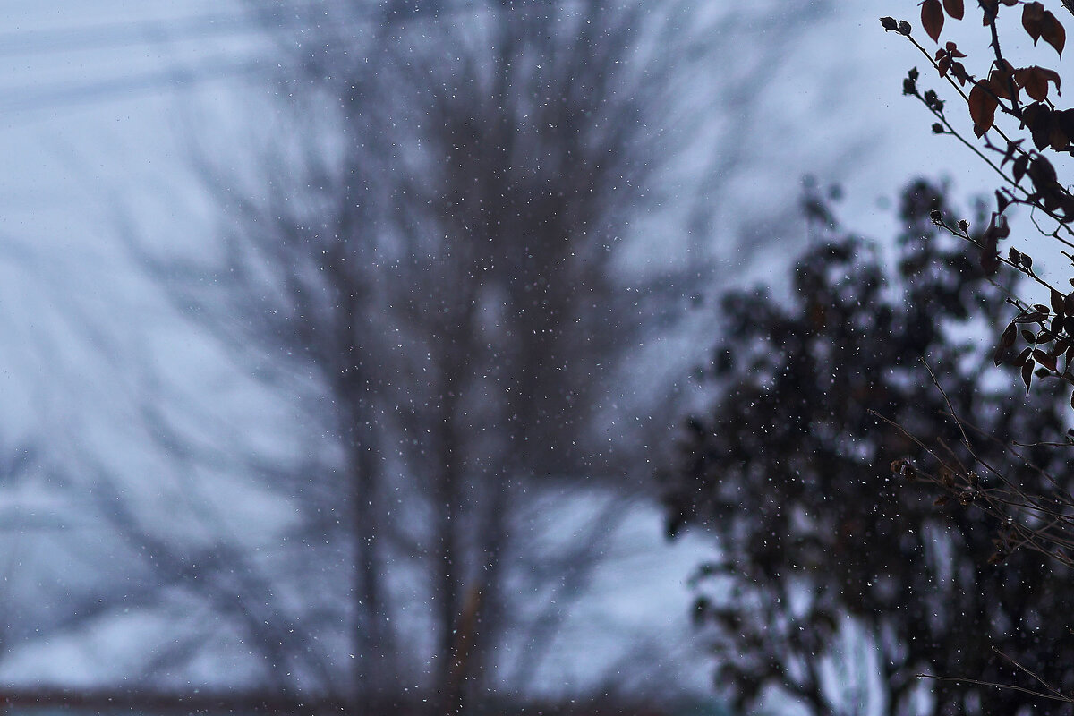 Снежнный день - Юрий Гайворонскiий