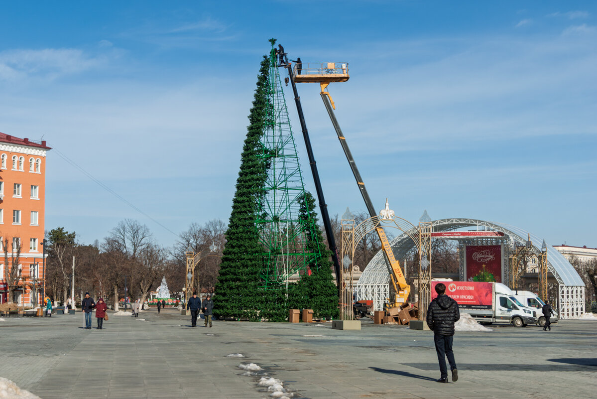 Завалили елку! - Игорь Сикорский