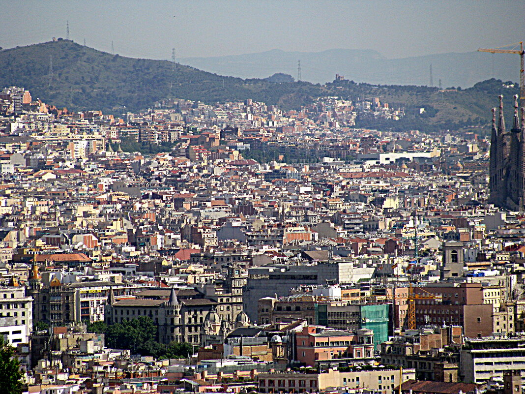 Барселона. - Владимир Драгунский