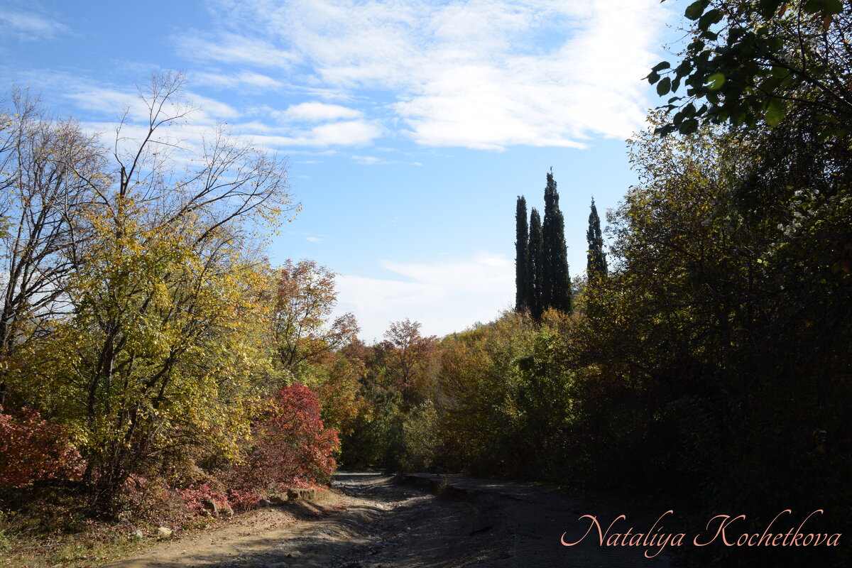 Природа Крыма - Amazing Cosmea