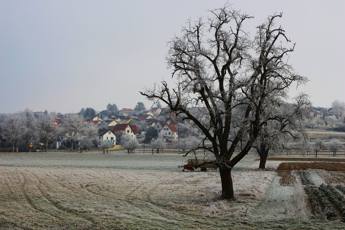 Морозно - Юрий. Шмаков