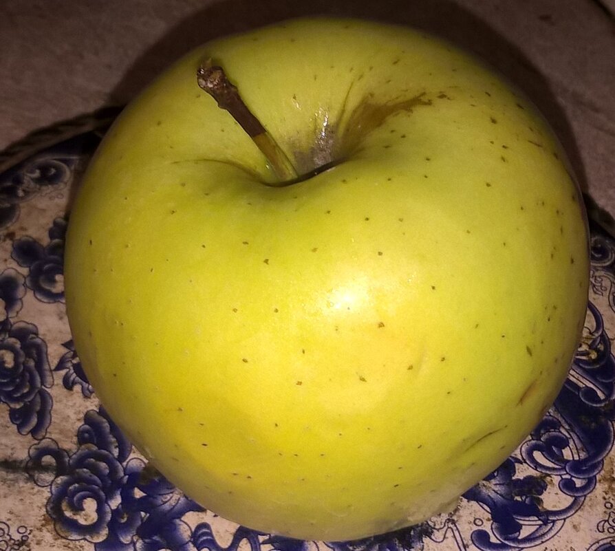 Яблоко - Елена Семигина