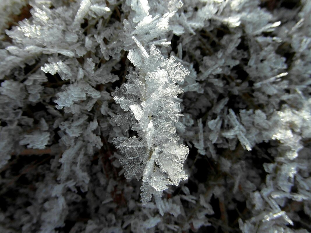 Зимнее украшение. - nadyasilyuk Вознюк