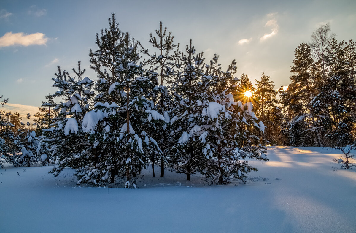 Январский вечер 5 - Андрей Дворников