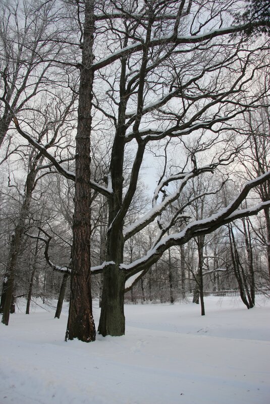 Парк Александрия - Наталья Герасимова