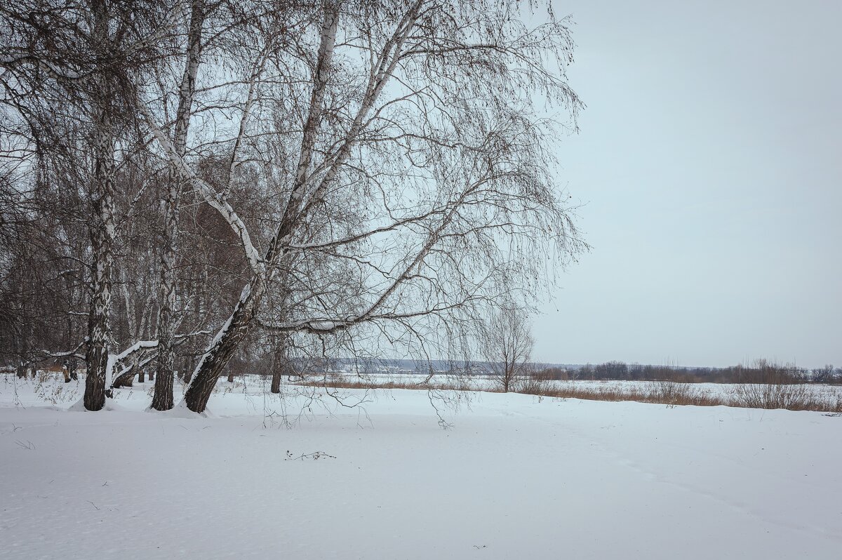 Тишина, которая говорит больше слов. - Вадим Басов