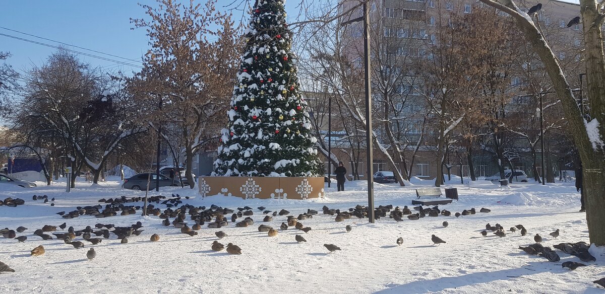 У ёлки птички собрались - Galina Solovova