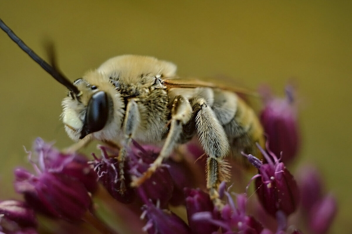 Труженица - Надежда Куркина 