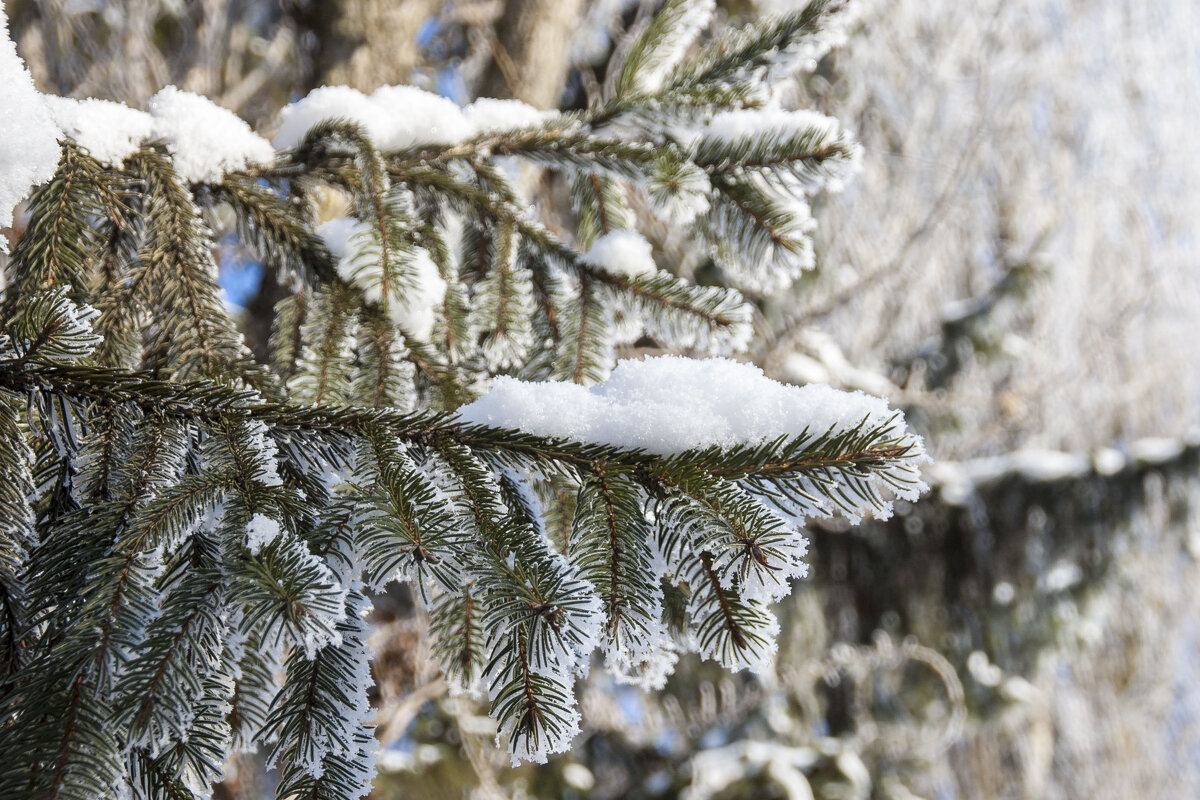 ... - Елена Пономарева