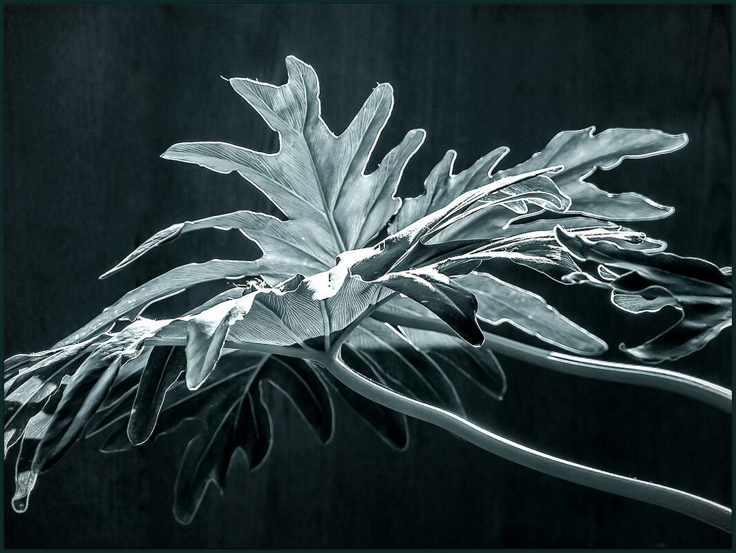 Освещенный солнцем... - Наталья Rosenwasser