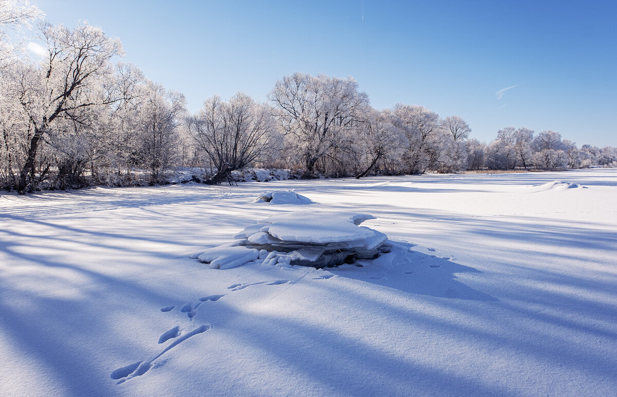 мороз, солнце и иней - Galina 
