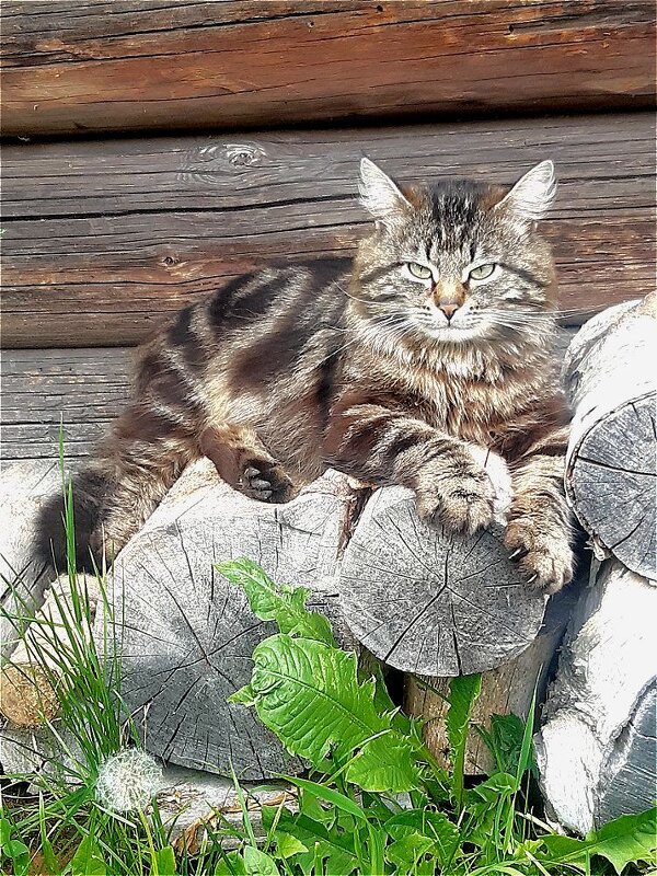 На отдыхе! - Нина Андронова