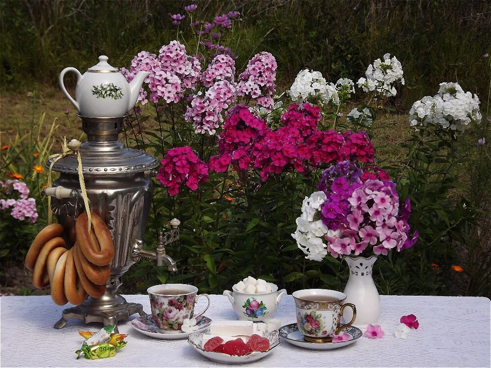 Летнее чаепитие! - Нина Андронова