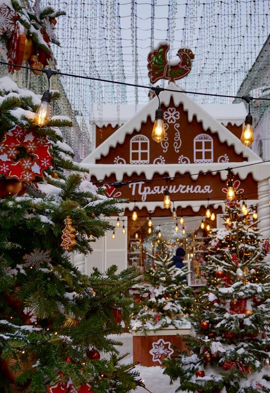 Фестиваль "Зима в Москве" - Ольга 