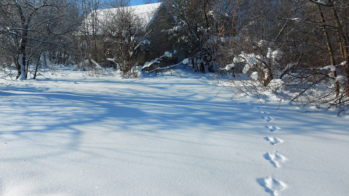 *** - Владимир Безбородов