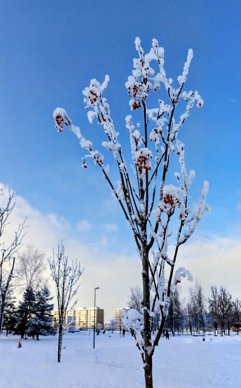 В парке Тондилоо - Veera V