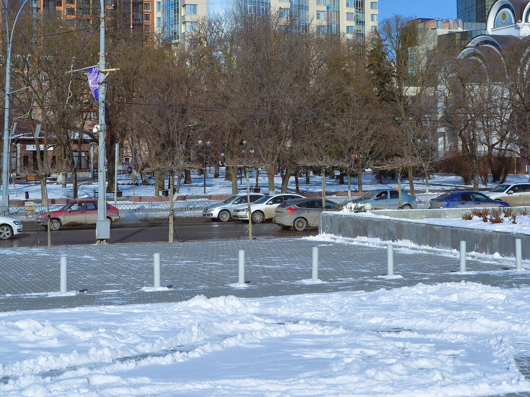 Ростов-на-Дону. Покровский сквер зимой. - Пётр Чернега