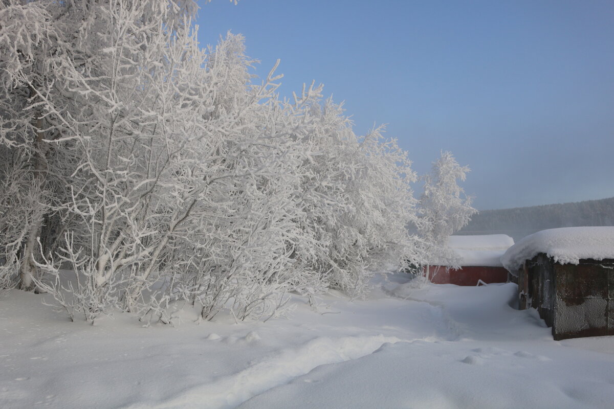 Белым-бело - Ольга 