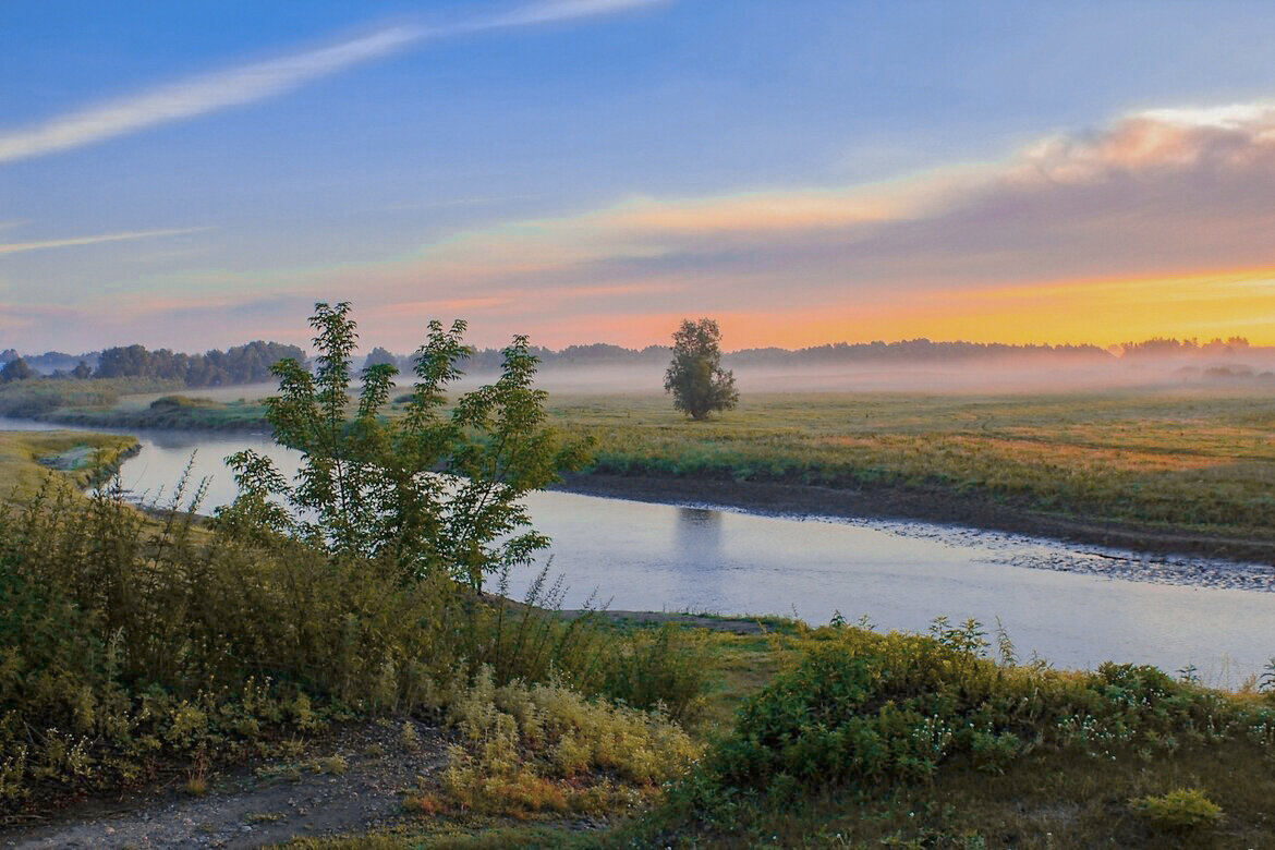Утро в Затоне - елена беликова