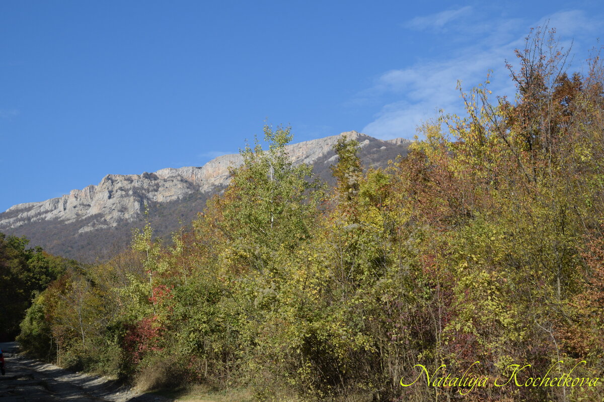Природа Крыма - Amazing Cosmea