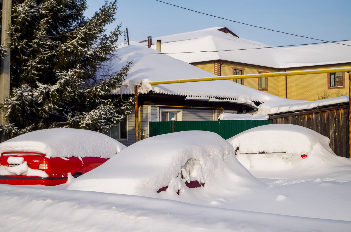 " Подснежники.." - Михаил. 