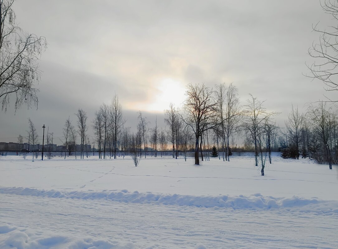 Небо в зимний день - Мария Васильева