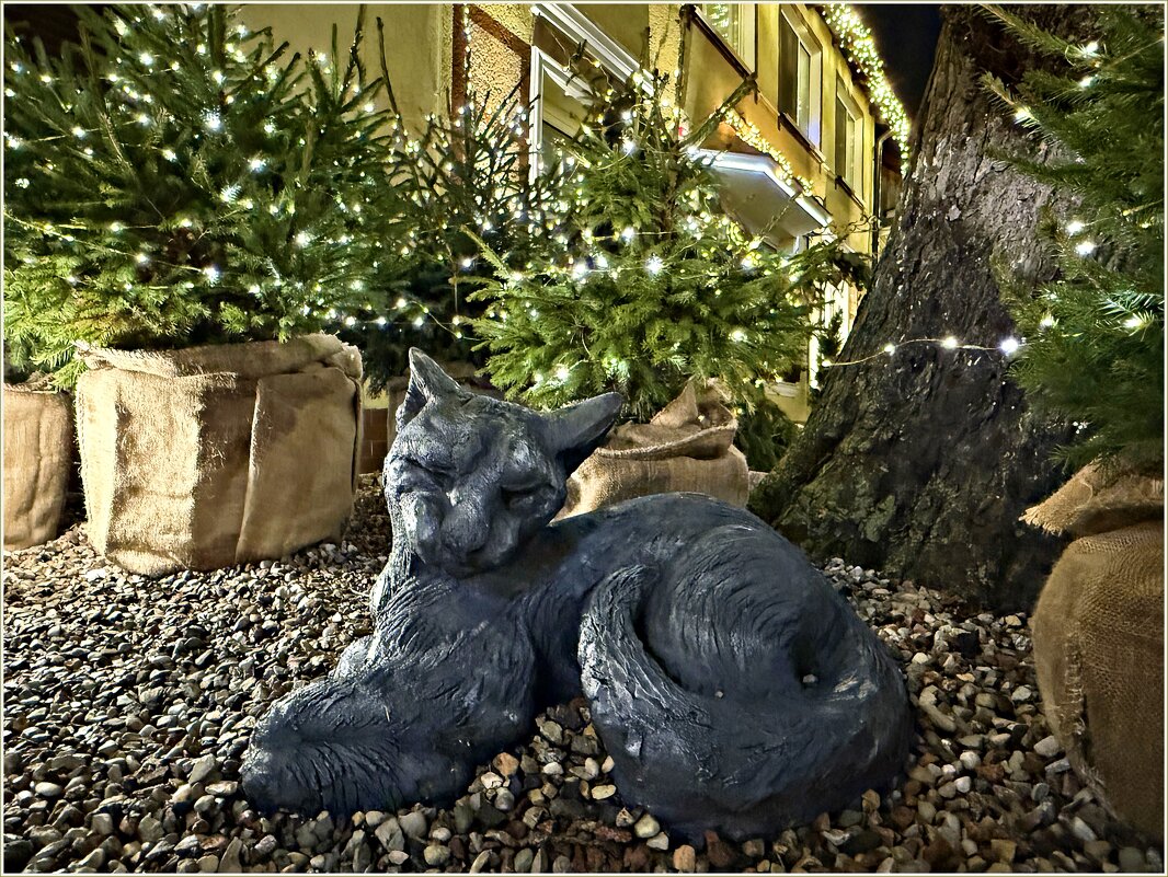 Зеленоградский кот. - Валерия Комова