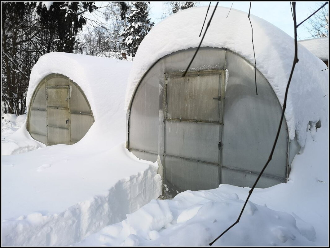 Теплицы "под шубой" - Ольга Довженко
