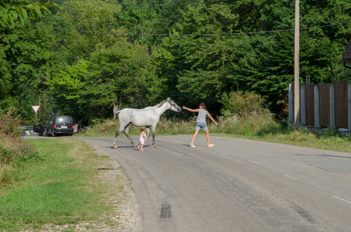 На дороге - Давид Манакьян